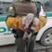 Oso melero, especie en vía de extinción es rescatado en el barrio Primero de Enero en Arauca