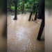 Inundaciones: La angustia permanente de la comunidad de Monserrate en Arauca