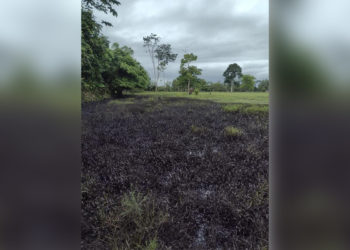 Cenit activa plan de contingencia en oleoducto Caño Limón – Coveñas en zona rural de Arauquita