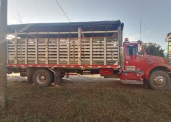 Autoridades incautaron 78 reses que habían sido hurtadas en Puerto Rondón
