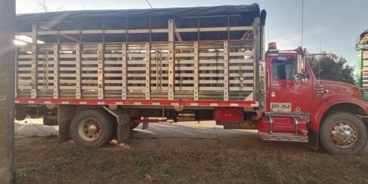 Autoridades incautaron 78 reses que habían sido hurtadas en Puerto Rondón
