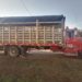 Autoridades incautaron 78 reses que habían sido hurtadas en Puerto Rondón