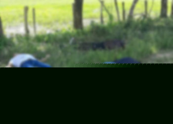 Triple homicidio se registra en el municipio de Puerto Rondón