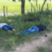Triple homicidio se registra en el municipio de Puerto Rondón