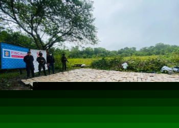 Incautada más de una tonelada de marihuana en el departamento de Arauca