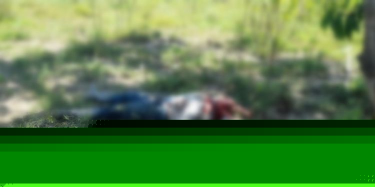 Hombre fue asesinado a orillas del río Arauca en Saravena