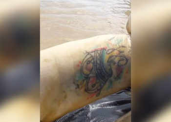 Hallaron dos cuerpos sin vida en el sector de Isla Guárico sobre el río Arauca