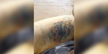 Hallaron dos cuerpos sin vida en el sector de Isla Guárico sobre el río Arauca