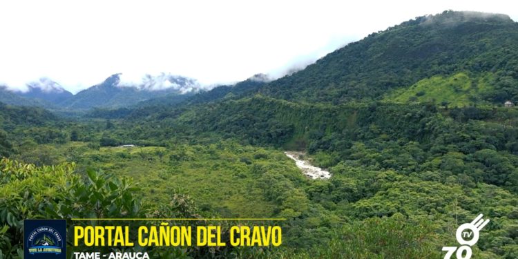 Portal Cañon Del Cravo, uno de los destinos ecoturísticos más importantes de la Orinoquía colombiana