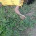 Joven fue asesinado en Monserrate de Arauca