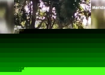Graban a una pareja practicando sexo en el Malecón de Arauca