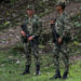 Ejército reporta la desaparición de dos soldados en el municipio de Tame