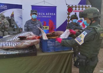 Duro golpe a la ilegalidad. Capturan a 11 contrabandistas de pescado