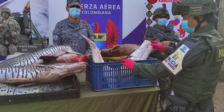 Duro golpe a la ilegalidad. Capturan a 11 contrabandistas de pescado