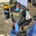 Autoridades incautaron más de 30 mil unidades entre cervezas, licores y cigarrillos