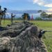 Tiradores de alta precisión llegan al departamento de Arauca para adelantar operaciones militares