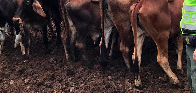 Autoridades desarrollan operativos contra el contrabando en veredas del municipio de Arauca