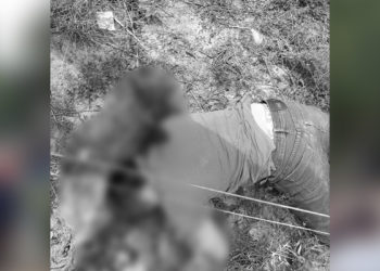 Un nuevo homicidio se registra en Puerto Nariño, Saravena