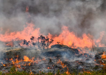 Alerta roja en el departamento de Arauca por riesgo de incendios forestales, según el IDEAM