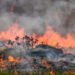 Alerta roja en el departamento de Arauca por riesgo de incendios forestales, según el IDEAM