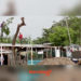 Denuncian tala ilegal de árboles en el sector de Los Güires en Arauca
