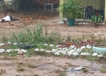 Cuatro homicidios se registraron el fin de semana en el Arauca