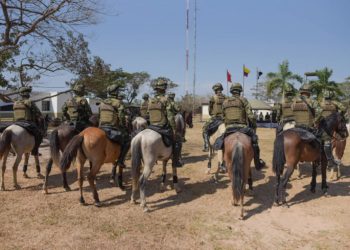 Entregan  50 equinos al Batallón de Artillería N° 18 en la vereda Feliciano del municipio de Arauca