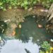 Aguas subterránea del perímetro urbano de Arauca no es apto para consumo humano, según estudio de la Universidad Nacional