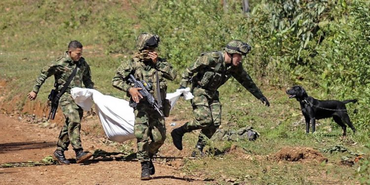 Cuatro muertos dejan enfrentamientos entre el ELN y las disidencias Farc en Puerto Rondón