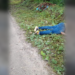 Nuevo asesinato se registra en zona rural de Tame