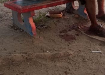 Una persona murió luego de ser atacada con arco y flecha