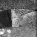 Joven fue asesinado de varios disparos en zona rural de Arauquita