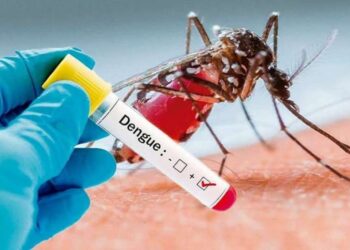Autoridades en salud reportan 548 casos de dengue en el departamento de Arauca