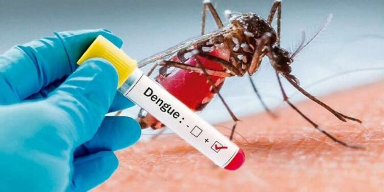 Autoridades en salud reportan 548 casos de dengue en el departamento de Arauca