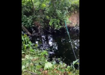 Atentan contra el oleoducto Caño Limón – Coveñas