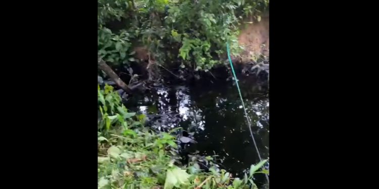 Atentan contra el oleoducto Caño Limón – Coveñas
