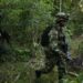 Ejército confirmó la desaparición de dos militares en Puerto Jordán, Arauquita