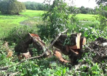 Admiten demanda contra el municipio de Arauca, Consorcio Fundarinca y Corporinoquia por obra en el Piquetierra