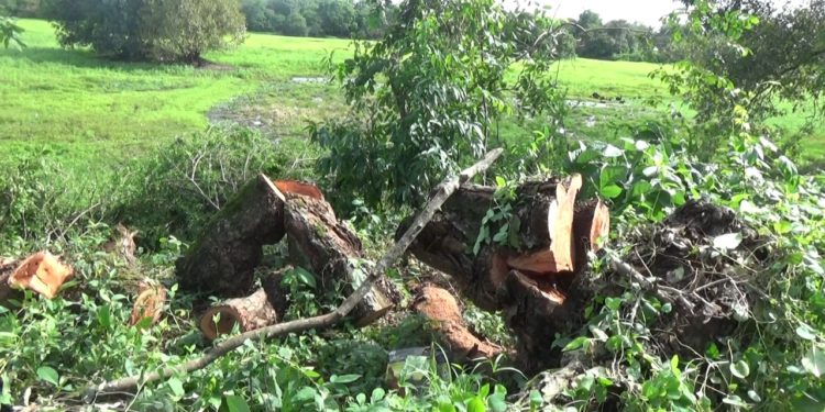 Admiten demanda contra el municipio de Arauca, Consorcio Fundarinca y Corporinoquia por obra en el Piquetierra