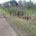 Ejército destruyó dos artefactos explosivos en la vía Tame – Arauca