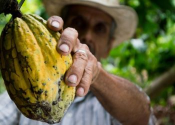 Día del Campesino: Hoy 2 de junio se exalta la labor del campo colombiano
