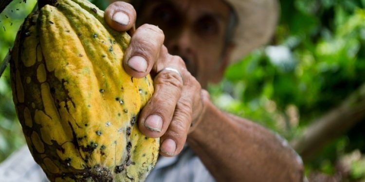 Día del Campesino: Hoy 2 de junio se exalta la labor del campo colombiano