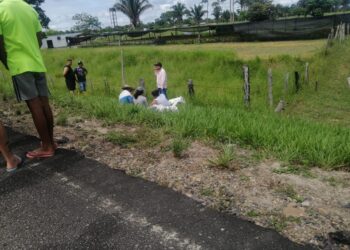 Dos personas fueron asesinadas en el municipio de Fortul