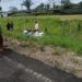 Dos personas fueron asesinadas en el municipio de Fortul
