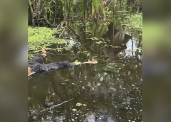 Encuentran cuerpo de hombre en estado de descomposición en un humedal en Arauca
