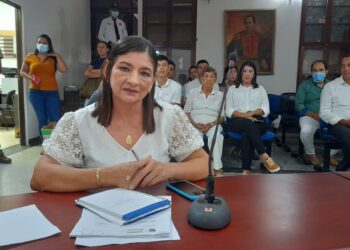 Se posesionó María Isabel Gélvez como nueva diputada de la Asamblea Departamental