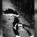 Doble homicidio se registró en zona rural de Saravena, Arauca