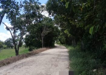 Nuevo asesinato se registra en zona rural de Saravena
