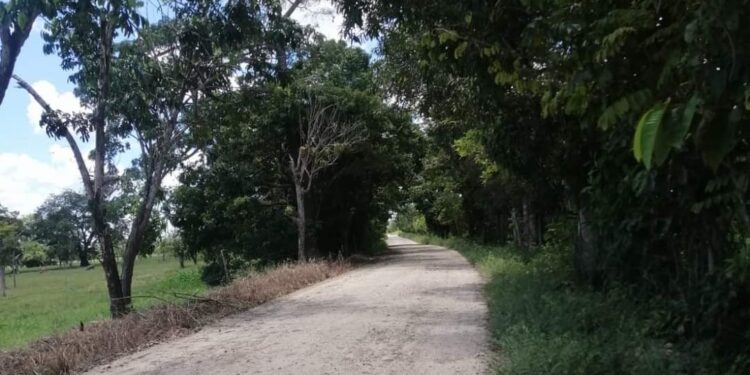 Nuevo asesinato se registra en zona rural de Saravena