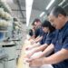 ¿Qué ha pasado con la implementación política departamental de empleo?